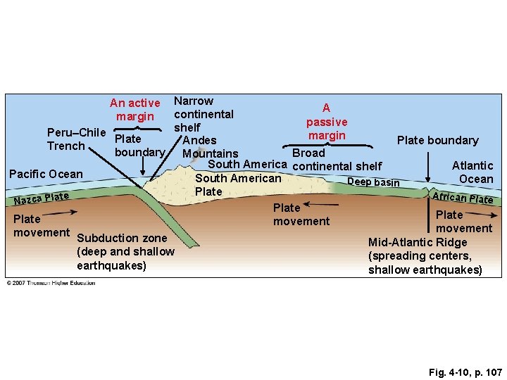Narrow A continental passive shelf Peru–Chile margin Plate Andes Plate boundary Trench boundary Mountains