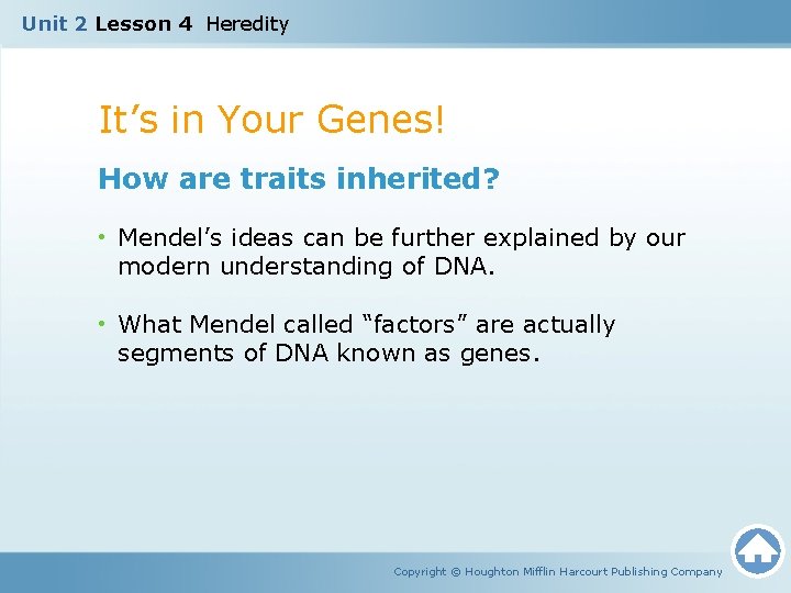 Unit 2 Lesson 4 Heredity It’s in Your Genes! How are traits inherited? •