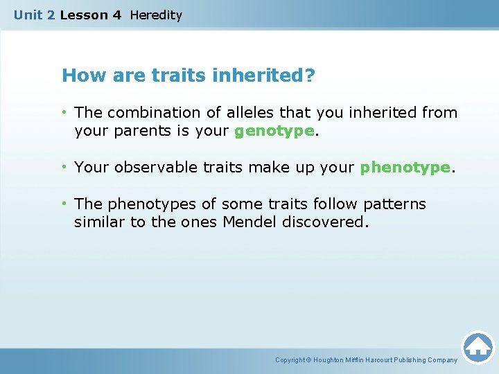 Unit 2 Lesson 4 Heredity How are traits inherited? • The combination of alleles