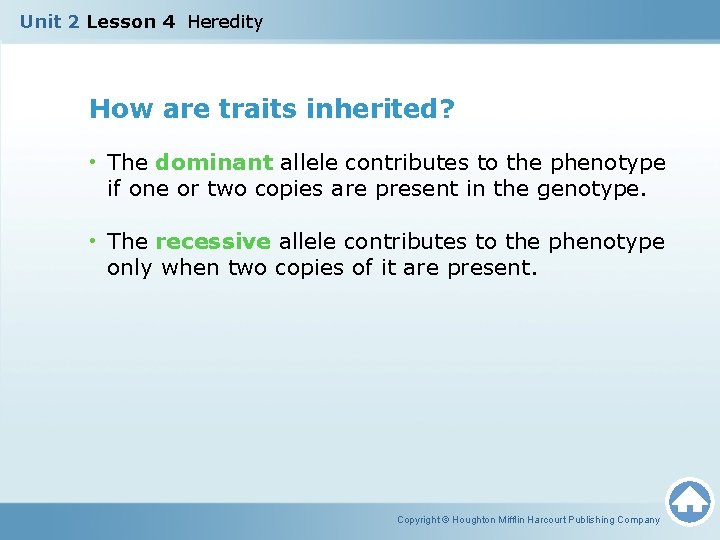 Unit 2 Lesson 4 Heredity How are traits inherited? • The dominant allele contributes