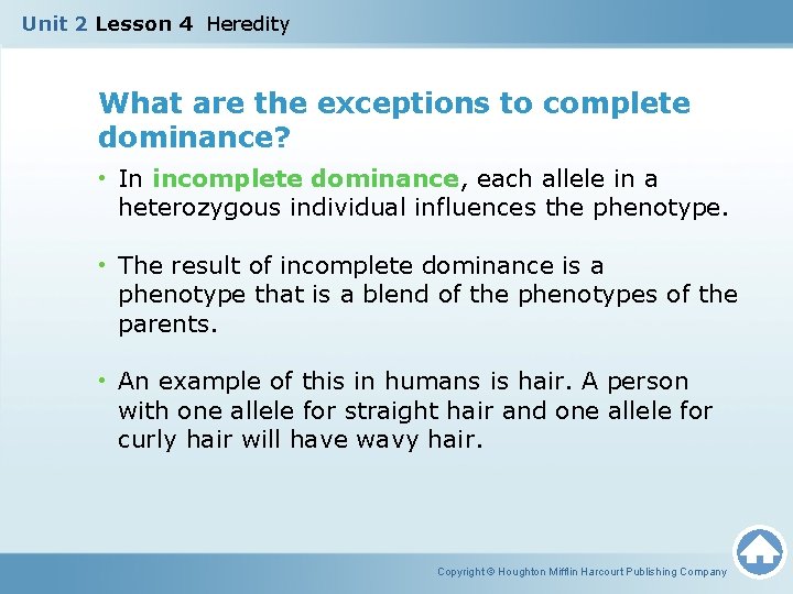 Unit 2 Lesson 4 Heredity What are the exceptions to complete dominance? • In