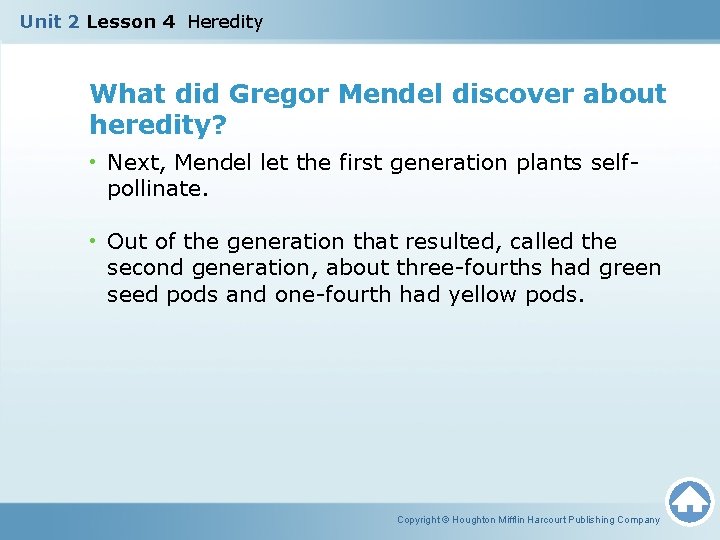 Unit 2 Lesson 4 Heredity What did Gregor Mendel discover about heredity? • Next,