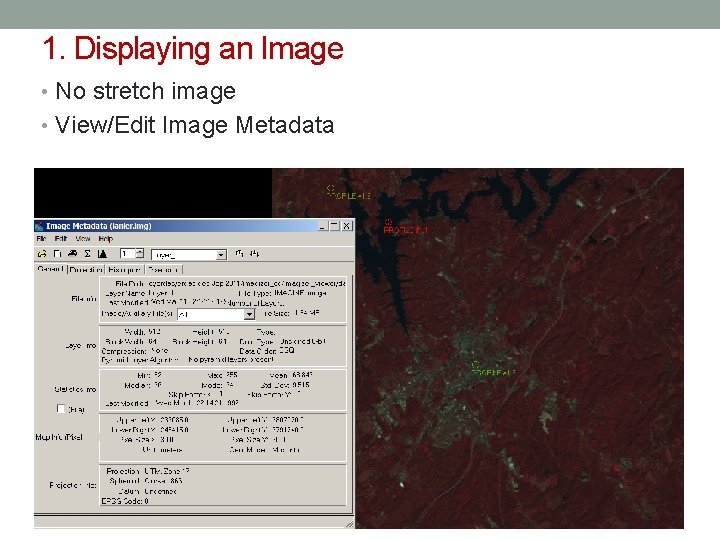 1. Displaying an Image • No stretch image • View/Edit Image Metadata 
