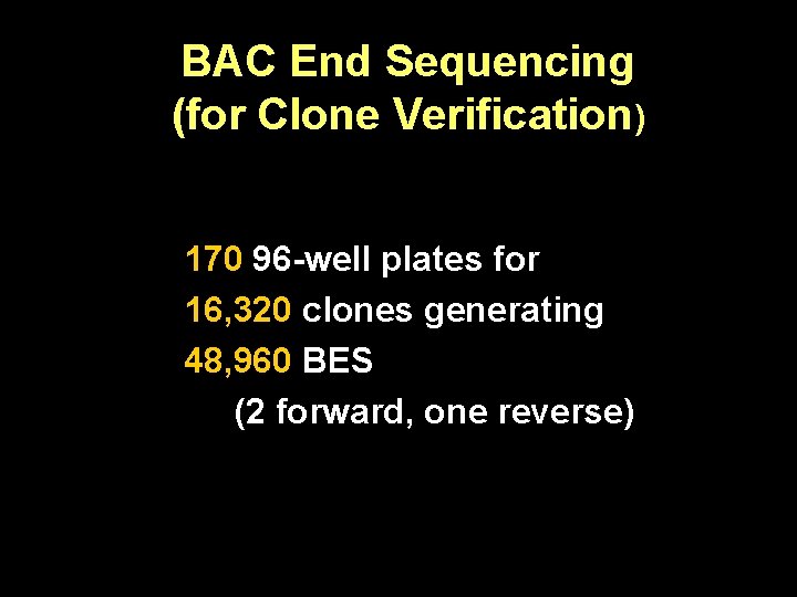 BAC End Sequencing (for Clone Verification) 170 96 -well plates for 16, 320 clones