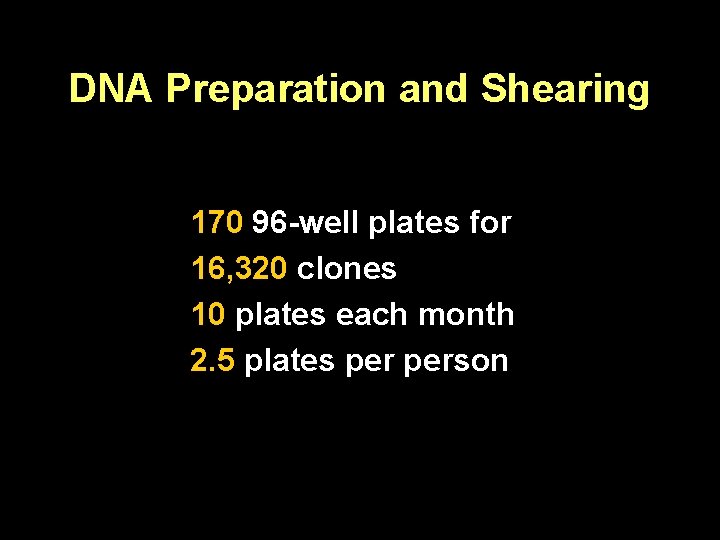 DNA Preparation and Shearing 170 96 -well plates for 16, 320 clones 10 plates