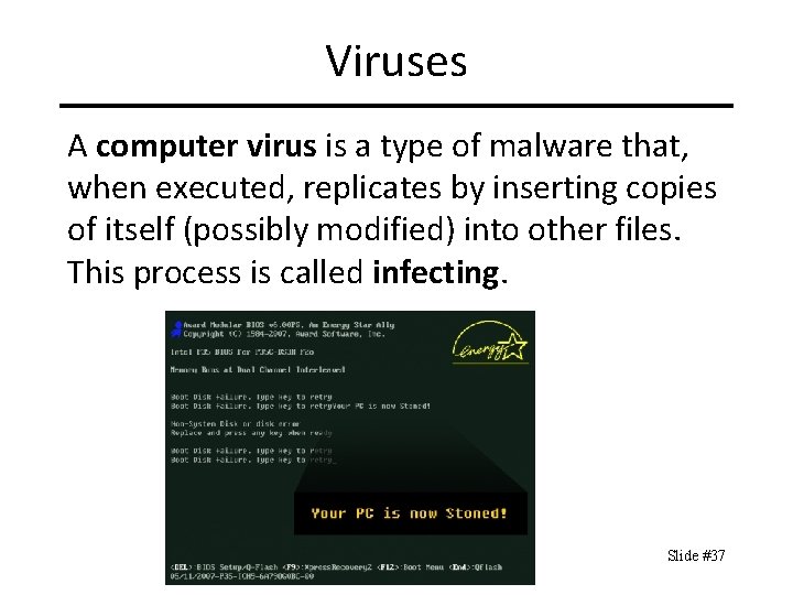 Viruses A computer virus is a type of malware that, when executed, replicates by