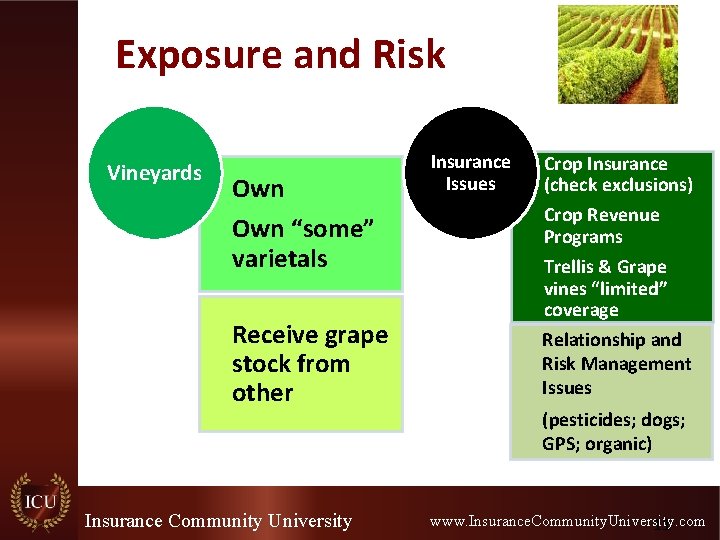 Exposure and Risk Vineyards Own “some” varietals Receive grape stock from other Insurance Community Exposure and Risk Vineyards Own “some” varietals Receive grape stock from other Insurance Community