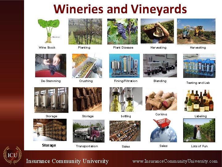Wineries and Vineyards Wine Stock De-Stemming Storage Planting Crushing Plant Disease Fining/Filtration Storage bottling Wineries and Vineyards Wine Stock De-Stemming Storage Planting Crushing Plant Disease Fining/Filtration Storage bottling