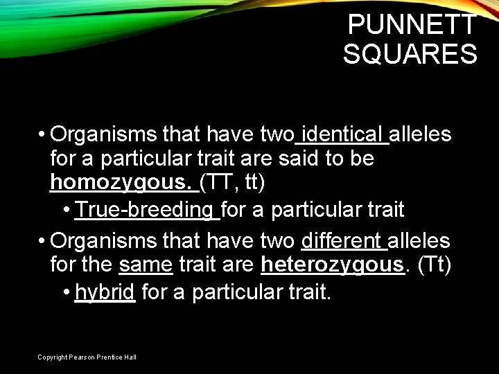 PUNNETT SQUARES • Organisms that have two identical alleles for a particular trait are