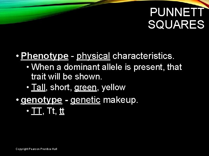 PUNNETT SQUARES • Phenotype - physical characteristics. • When a dominant allele is present,