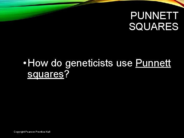 PUNNETT SQUARES • How do geneticists use Punnett squares? Slide 7 of 21 Copyright
