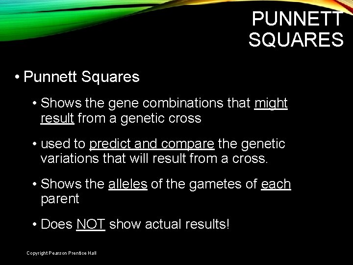 PUNNETT SQUARES • Punnett Squares • Shows the gene combinations that might result from