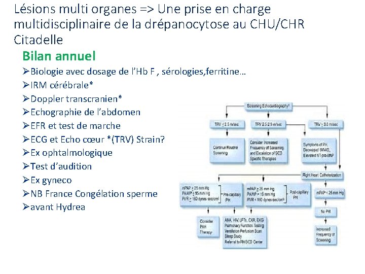 Lésions multi organes => Une prise en charge multidisciplinaire de la drépanocytose au CHU/CHR