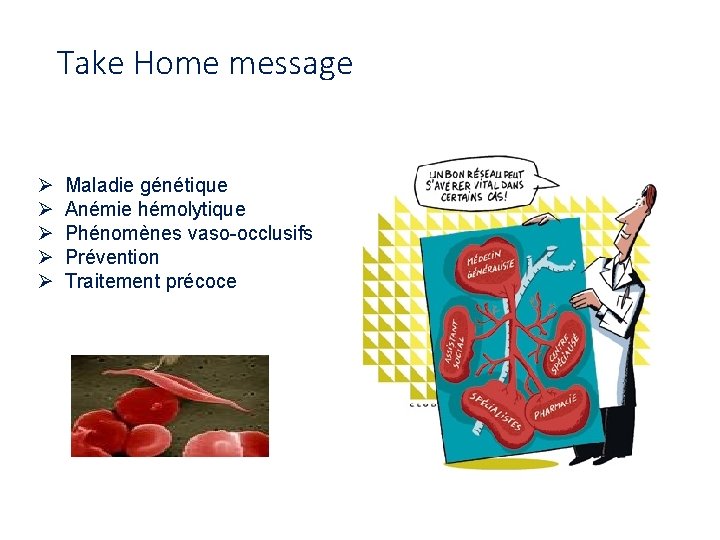 Take Home message Ø Ø Ø Maladie génétique Anémie hémolytique Phénomènes vaso-occlusifs Prévention Traitement