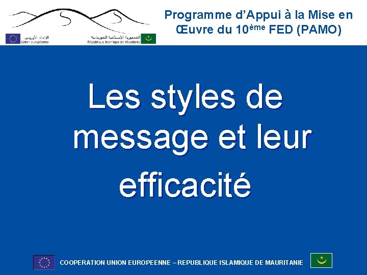 Programme d’Appui à la Mise en Œuvre du 10ème FED (PAMO) Les styles de