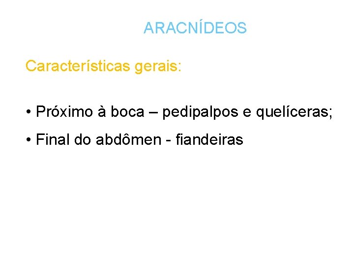 ARACNÍDEOS Características gerais: • Próximo à boca – pedipalpos e quelíceras; • Final do