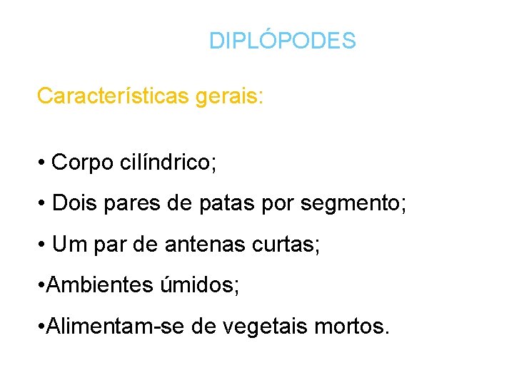 DIPLÓPODES Características gerais: • Corpo cilíndrico; • Dois pares de patas por segmento; •