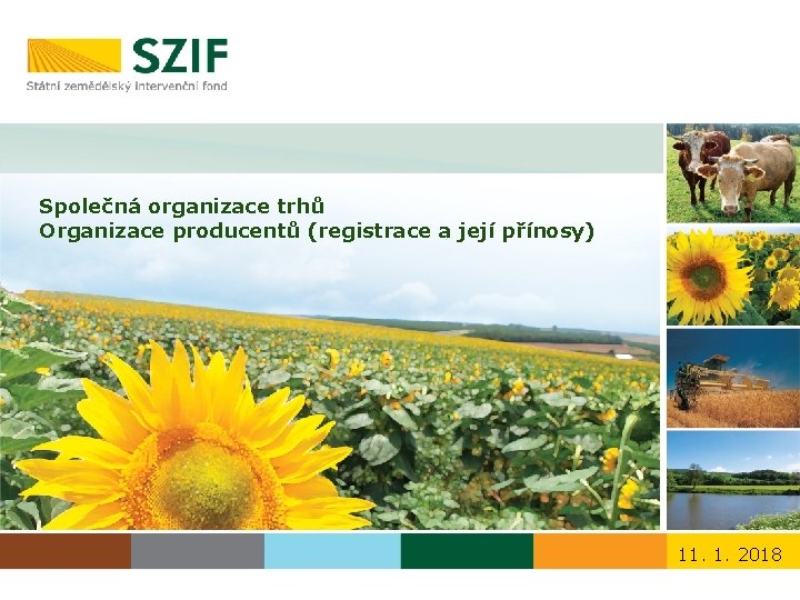 Společná organizace trhů Organizace producentů (registrace a její přínosy) 11. 1. 2018 