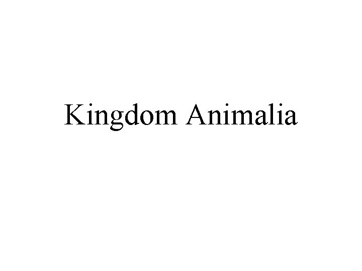 Kingdom Animalia 