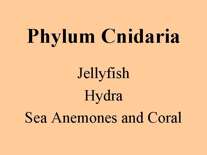 Phylum Cnidaria Jellyfish Hydra Sea Anemones and Coral 