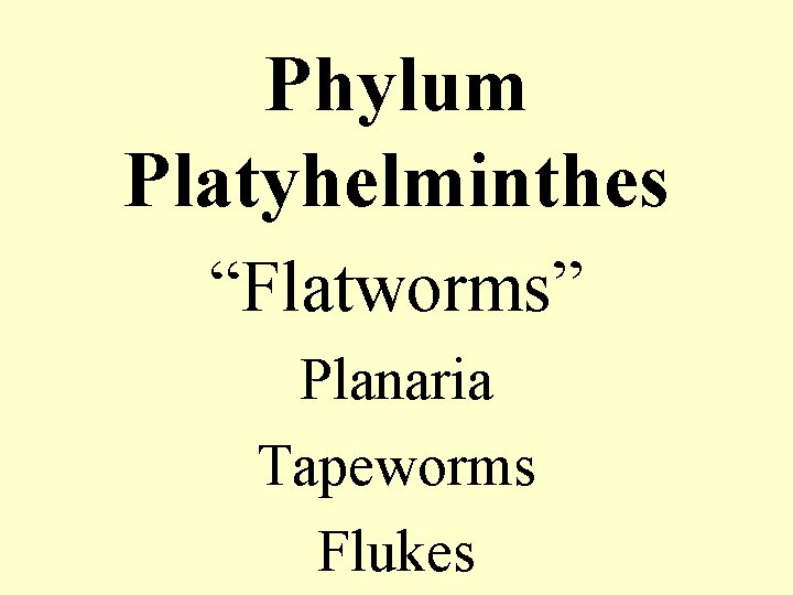 Phylum Platyhelminthes “Flatworms” Planaria Tapeworms Flukes 