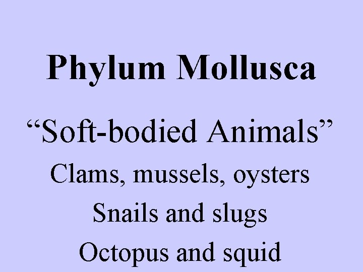 Phylum Mollusca “Soft-bodied Animals” Clams, mussels, oysters Snails and slugs Octopus and squid 