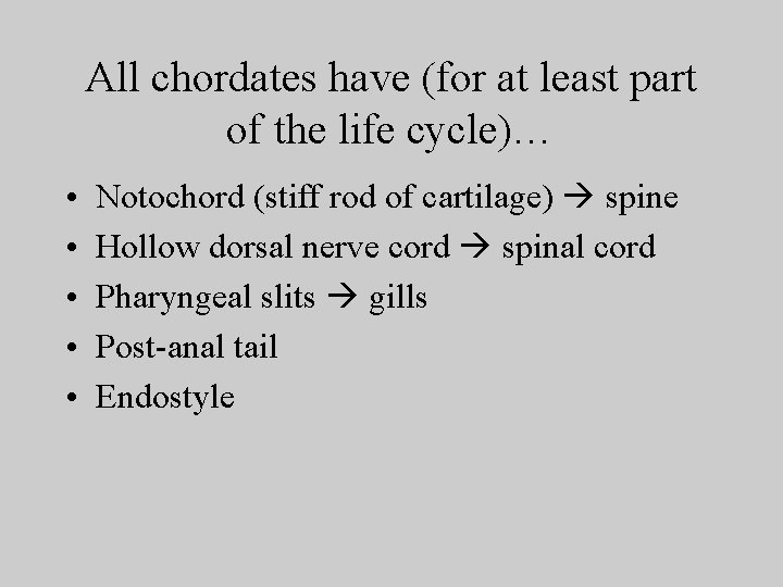 All chordates have (for at least part of the life cycle)… • • •