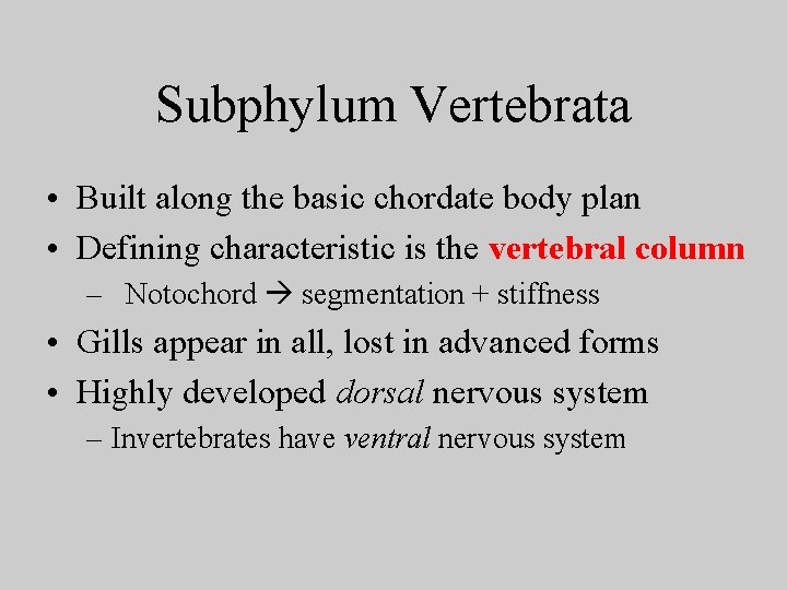 Subphylum Vertebrata • Built along the basic chordate body plan • Defining characteristic is
