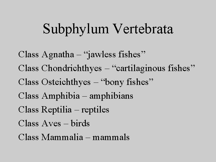 Subphylum Vertebrata Class Agnatha – “jawless fishes” Class Chondrichthyes – “cartilaginous fishes” Class Osteichthyes