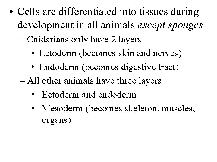  • Cells are differentiated into tissues during development in all animals except sponges