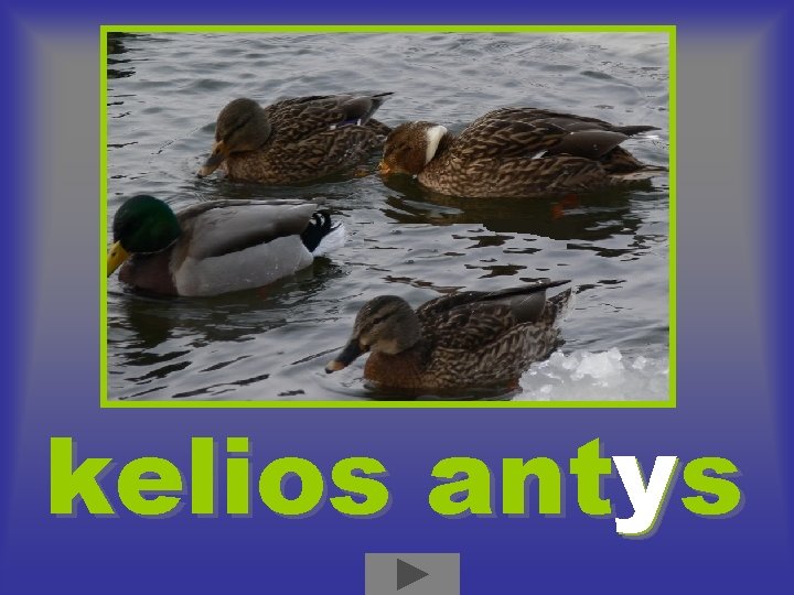 y kelios antys y kelios antys