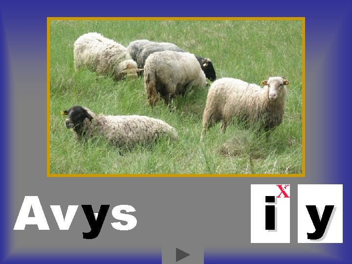 Av ys i y Av ys i y