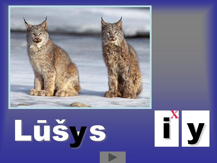 Lūšy s i y Lūšy s i y
