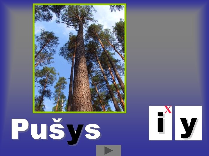 Puš ys i y Puš ys i y