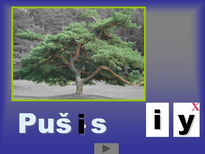 Puš i s i y 