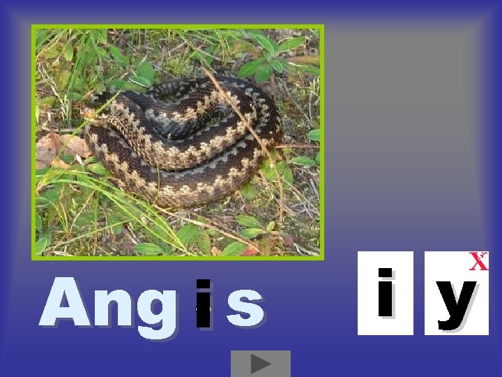 Ang i s i y 