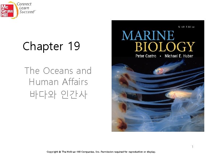 Chapter 19 The Oceans and Human Affairs 바다와 인간사 1 Copyright © The Mc.
