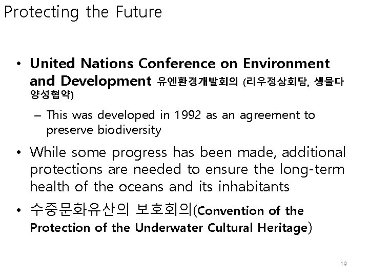 Protecting the Future • United Nations Conference on Environment and Development 유엔환경개발회의 (리우정상회담, 생물다