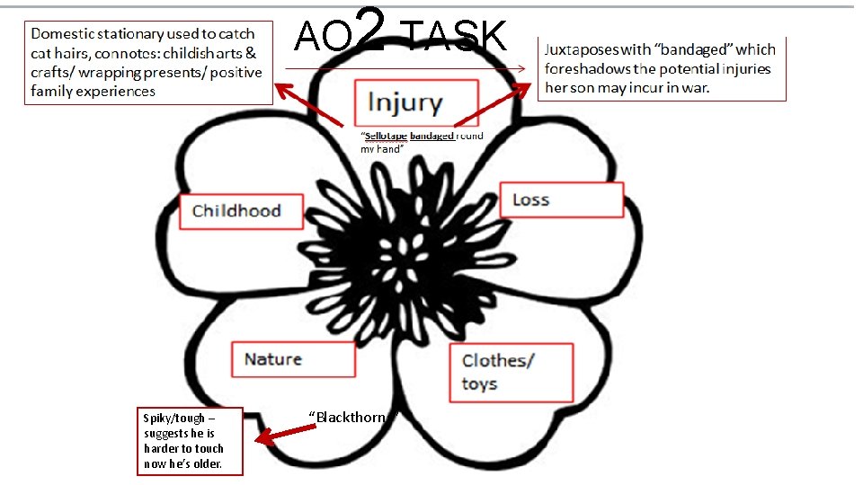 AO 2 TASK Spiky/tough – suggests he is harder to touch now he’s older.