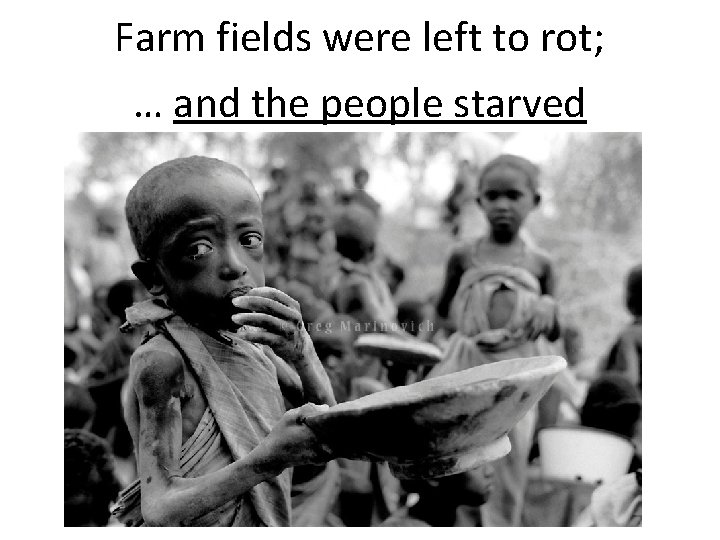 Farm fields were left to rot; … and the people starved 