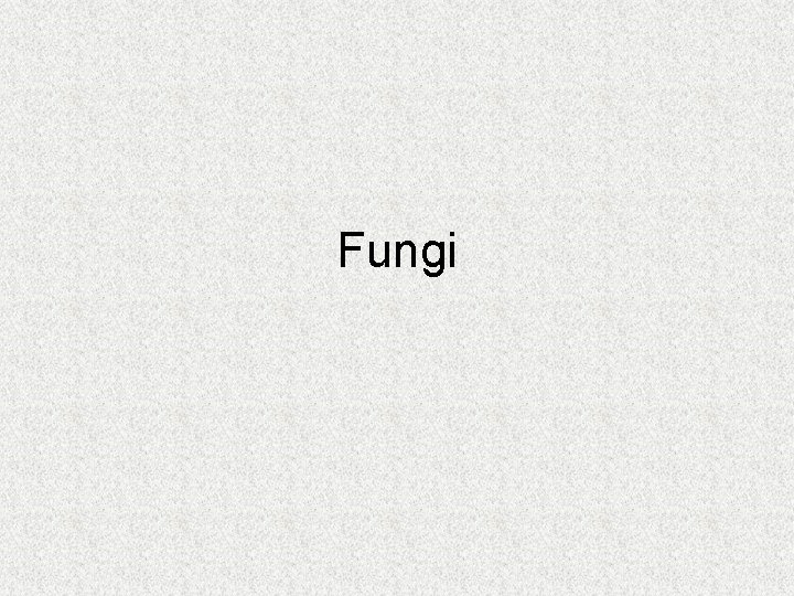 Fungi 