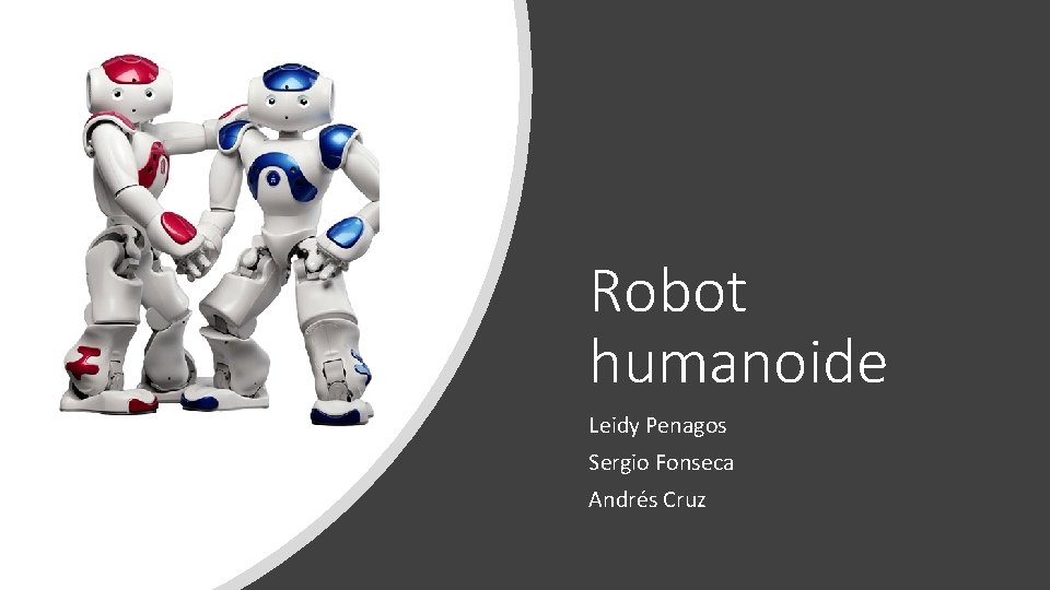 Robot humanoide Leidy Penagos Sergio Fonseca Andrés Cruz 