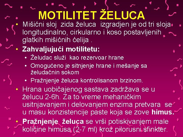 MOTILITET ŽELUCA • Mišićni sloj zida želuca izgradjen je od tri sloja longitudinalno, cirkularno