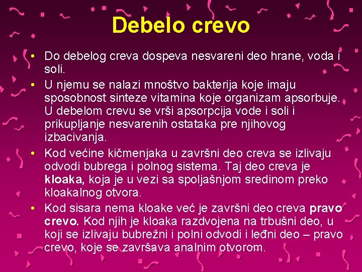 Debelo crevo • Do debelog creva dospeva nesvareni deo hrane, voda i soli. •