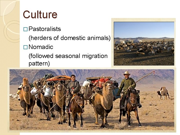 Culture � Pastoralists (herders of domestic animals) � Nomadic (followed seasonal migration pattern) 