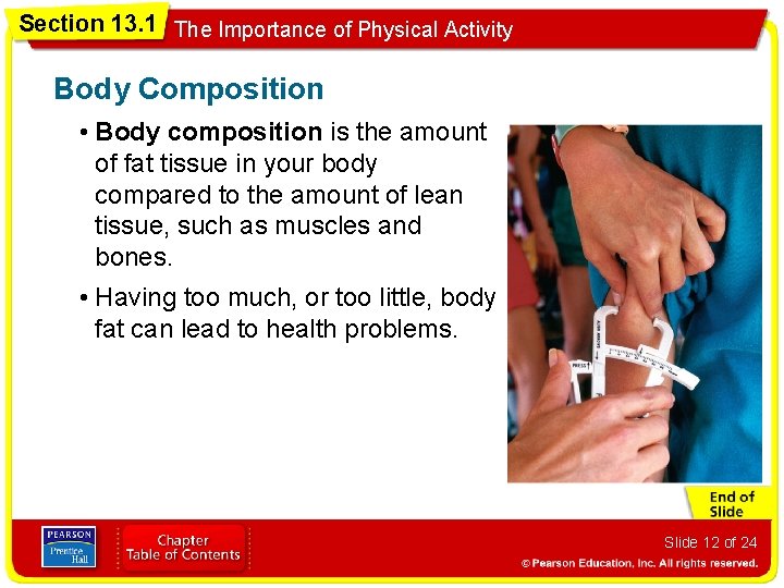 Section 13. 1 The Importance of Physical Activity Body Composition • Body composition is