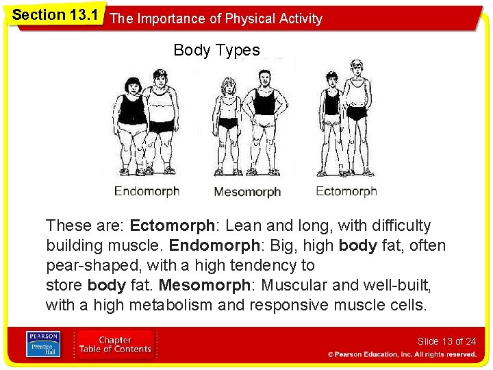 Section 13. 1 The Importance of Physical Activity Body Types These are: Ectomorph: Lean