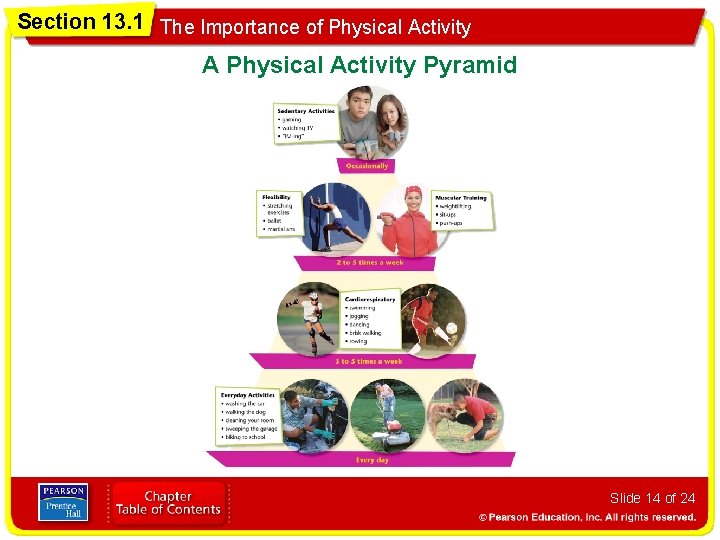 Section 13. 1 The Importance of Physical Activity A Physical Activity Pyramid Slide 14