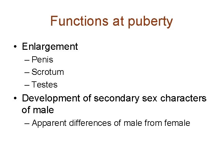 Functions at puberty • Enlargement – Penis – Scrotum – Testes • Development of