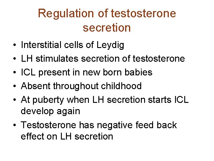 Regulation of testosterone secretion • • • Interstitial cells of Leydig LH stimulates secretion